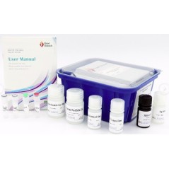 ReedBiotech ELISA Kits,...