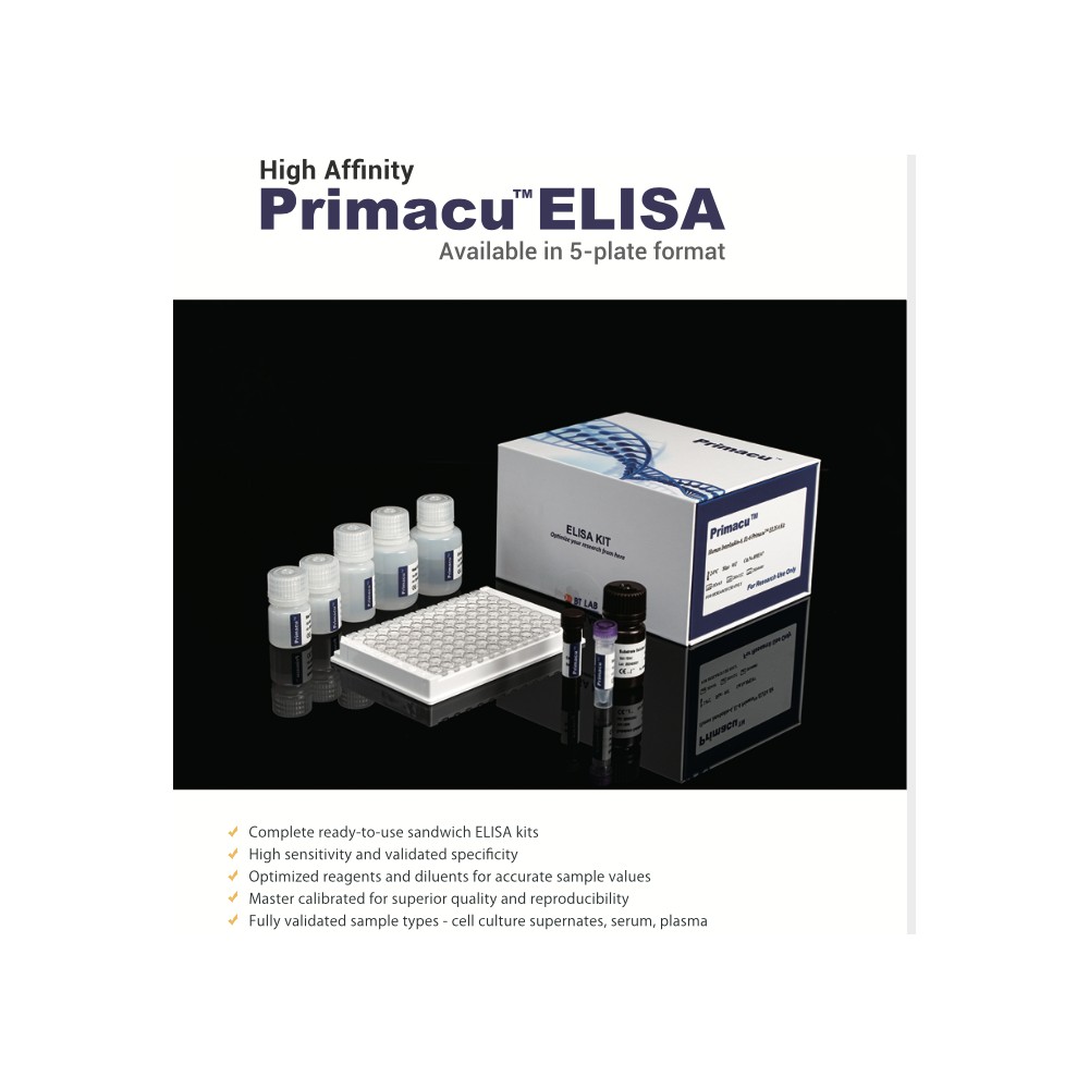 Primacu ELISA Kits, Human and rat