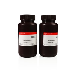 ECL Chemiluminescence Kit