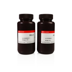 ECL Chemiluminescence Kit