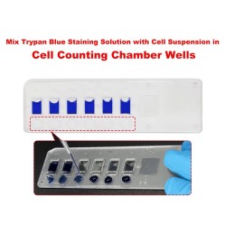 Cell Counting Chamber CCB-6