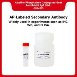 Alkaline Phosphatase Conjugated Goat Anti-Rabbit IgG (H+L）