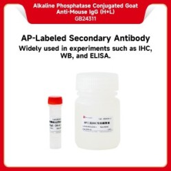 Alkaline Phosphatase Conjugated Goat Anti-Mouse IgG (H+L）