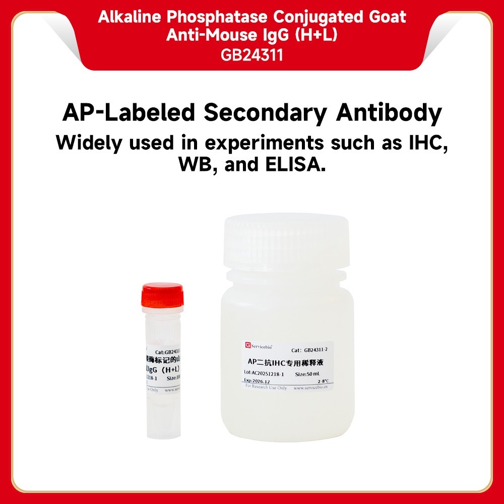 Alkaline Phosphatase Conjugated Goat Anti-Mouse IgG (H+L）
