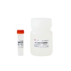 Alkaline Phosphatase Conjugated Goat Anti-Mouse IgG (H+L）