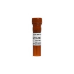 Alexa Fluor® 488-conjugated...