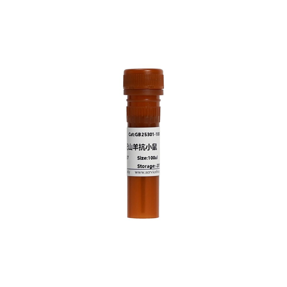Alexa Fluor® 488-conjugated Goat Anti-Mouse IgG (H+L)