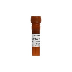 Alexa fluor 488-conjugated Donkey anti-Goat IgG(H+L)
