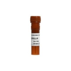 Peroxidase-conjugated...