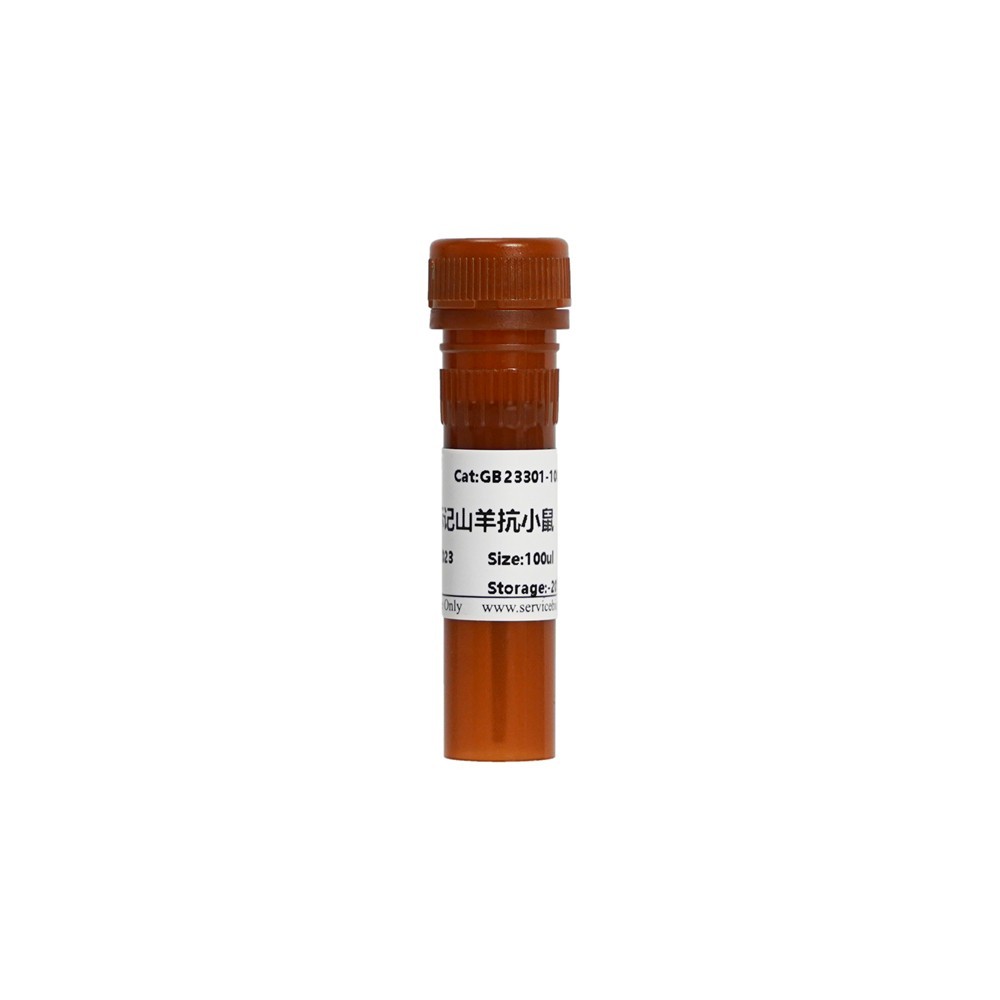 HRP Conjugated Goat Anti-Mouse IgG (H+L）