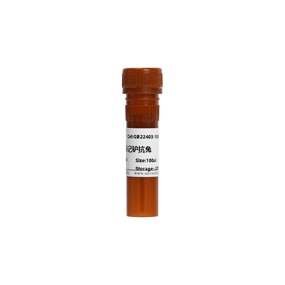 FITC Conjugated Donkey Anti-Rabbit IgG (H+L)
