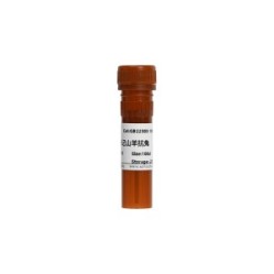 FITC-Conjugated Goat Anti-Rabbit IgG (H+L)