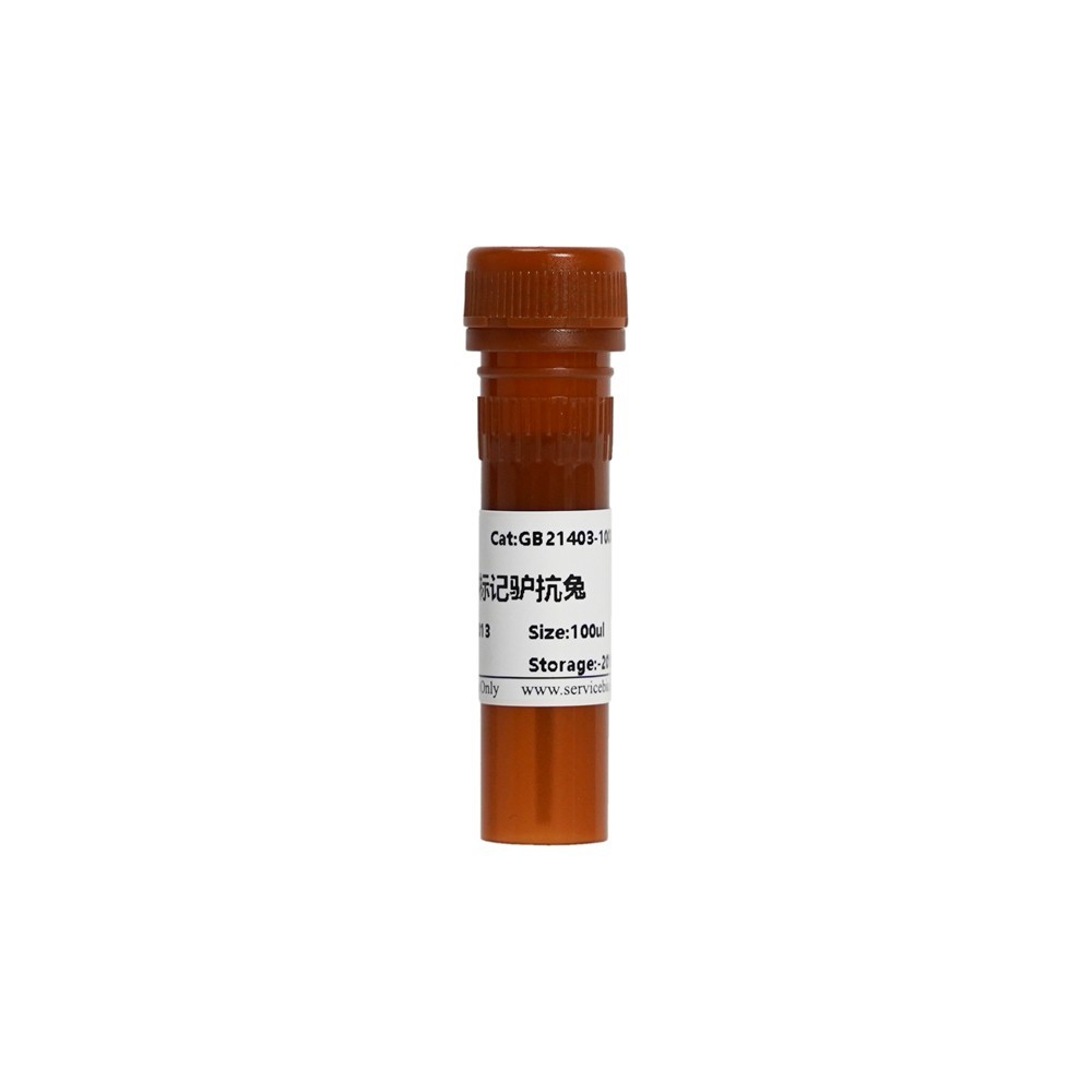 Cy3 Conjugated Donkey Anti-Rabbit IgG (H+L)