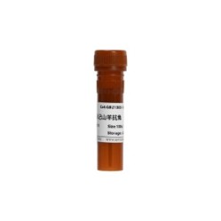 Cy3-Conjugated Goat Anti-Rabbit IgG (H+L)