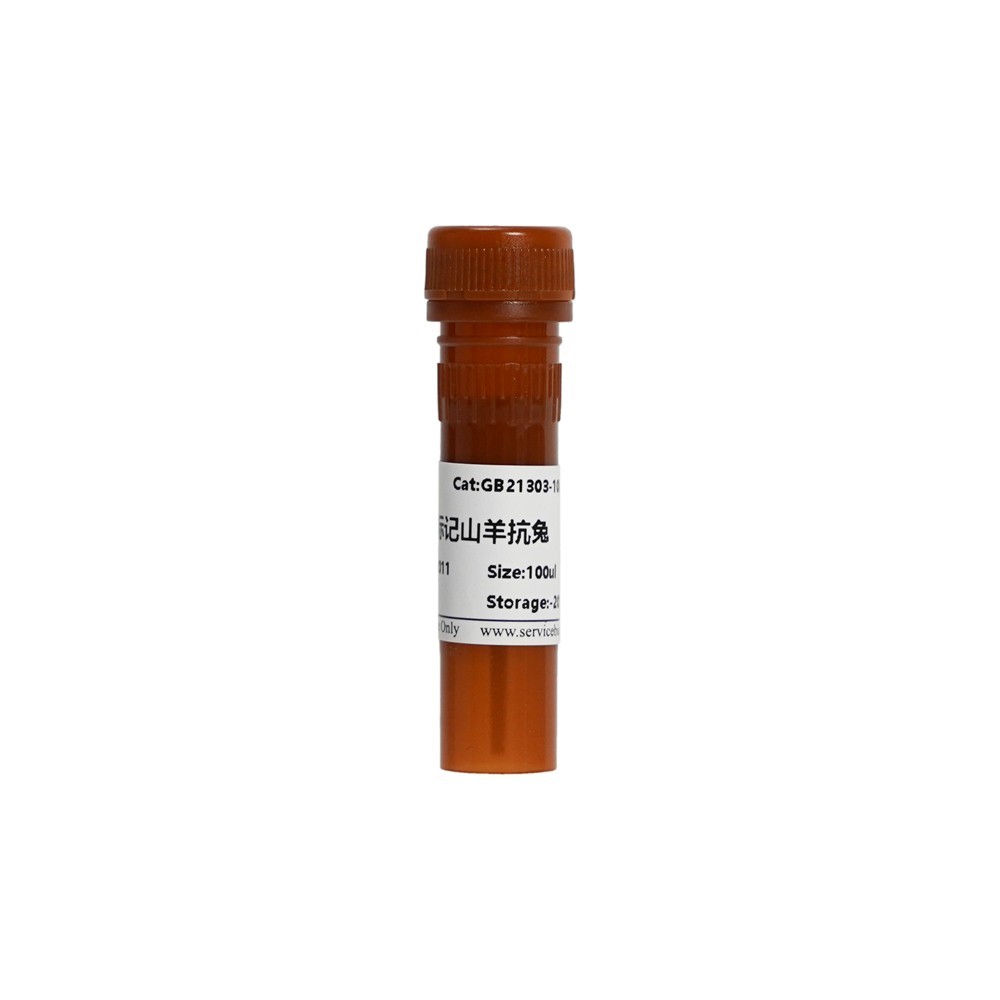 Cy3-Conjugated Goat Anti-Rabbit IgG (H+L)