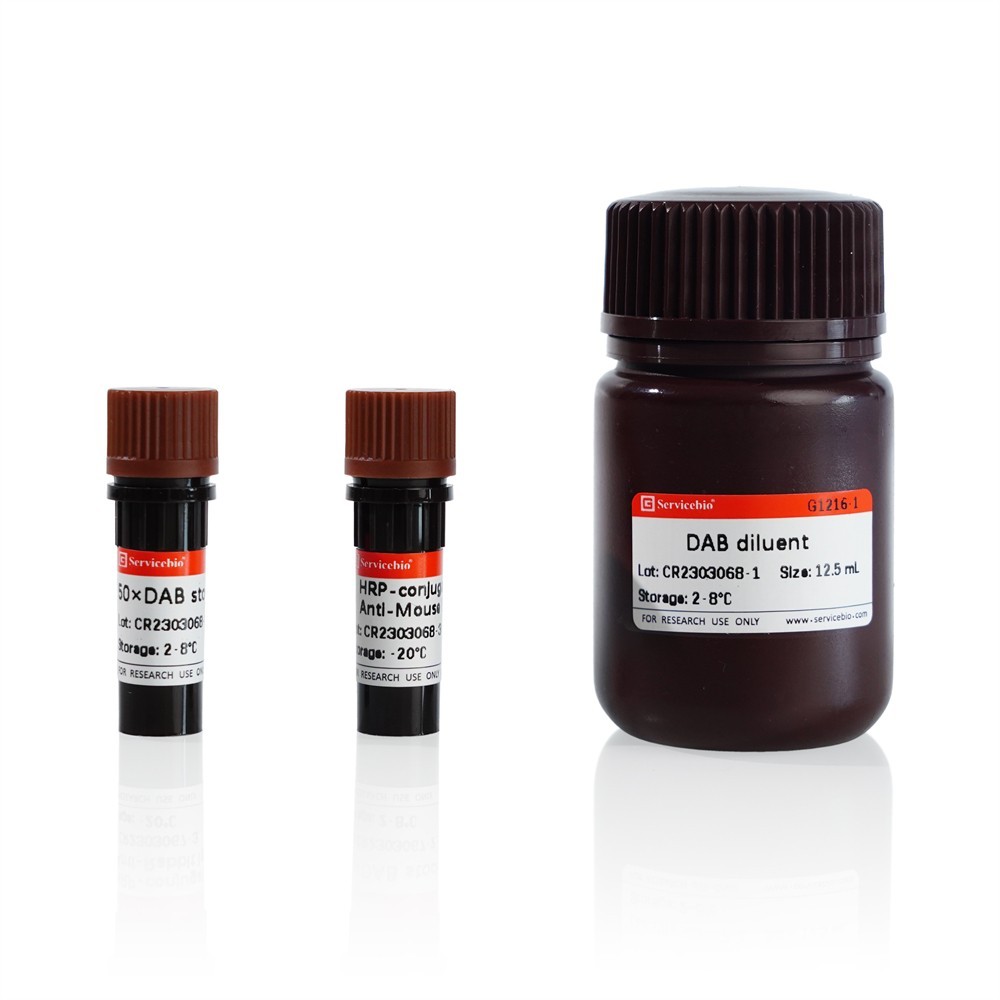 Immunohistochemistry Kit (Goat Anti-Mouse IgG H&L (HRP))