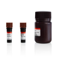Immunohistochemistry Kit (Goat Anti-Mouse IgG H&L (HRP))