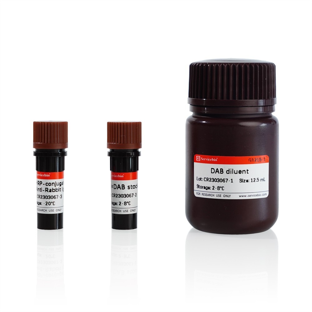 Immunohistochemistry Kit (Goat Anti-Rabbit IgG H&L (HRP))