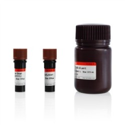 Immunohistochemistry Kit (Goat Anti-Rabbit IgG H&L (HRP))