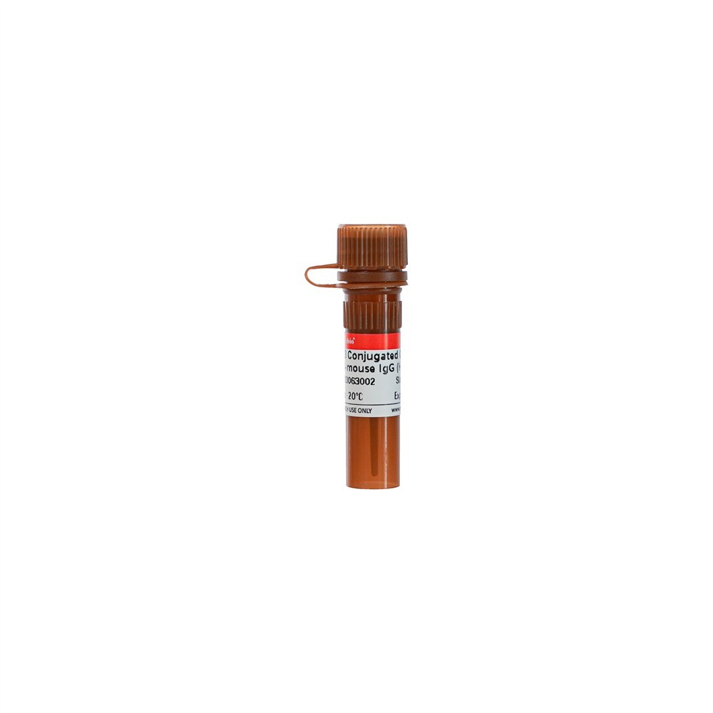 Cy3 Conjugated Goat Anti-mouse IgG (H+L）