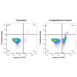 Annexin V-FITC/PI Cell Apoptosis Detection Kit (Green FITC + Red PI) 100T