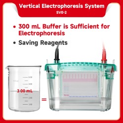 Electrophoresis System (Vertical)