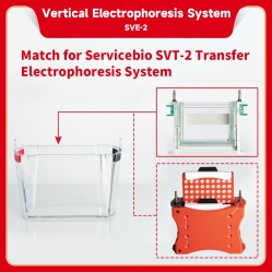 Electrophoresis System (Vertical)