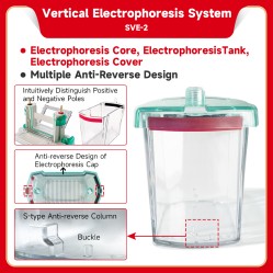 Electrophoresis System (Vertical)