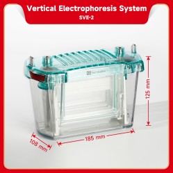 Electrophoresis System (Vertical)