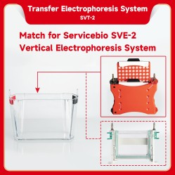 Electrophoresis System (Transfer)