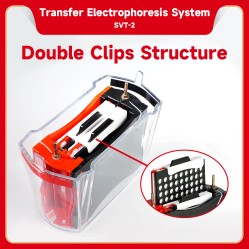 Electrophoresis System (Transfer)