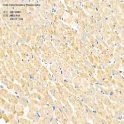 Anti-Cytochrome c Mouse mAb
