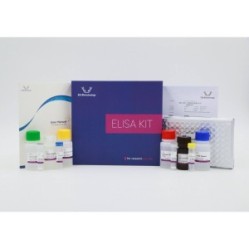 Mouse TRPV1(Transient Receptor Potential Cation Channel Subfamily V, Member 1) ELISA Kit