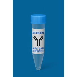Cy5 conjugated Goat Anti-rabbit IgG (H+L)