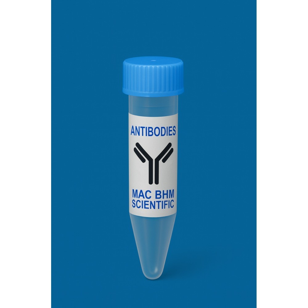 Cy5 conjugated Goat Anti-rabbit IgG (H+L)