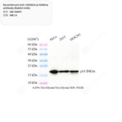 Recombinant...