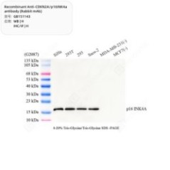 Recombinant...
