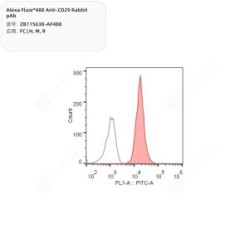 Alexa Fluor®488 Anti-CD29 Rabbit pAb