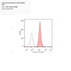 Alexa Fluor®488 Anti-CD29...