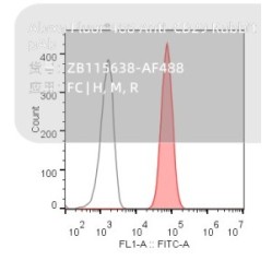 Alexa Fluor®488 Anti-CD29 Rabbit pAb