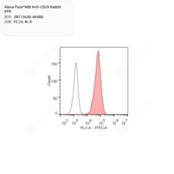 Alexa Fluor®488 Anti-CD29 Rabbit pAb