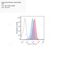 Alexa Fluor®488 Anti-CD44 Rabbit pAb