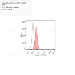 Alexa Fluor®488 Anti-CD44 Rabbit pAb