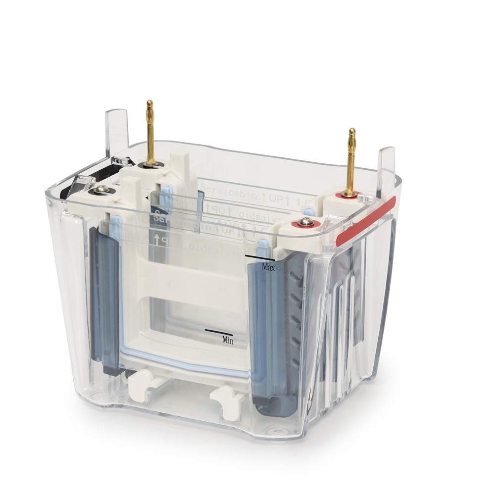 Vertical Electrophoresis System 4 Gels