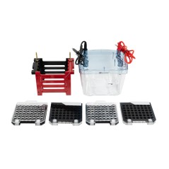 Transfer Electrophoresis...