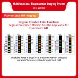 Multifunctional Fluorescence Imaging System SCG-W6000