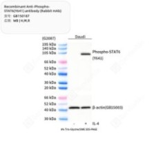 Recombinant...