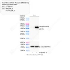Recombinant...