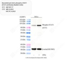 Recombinant...