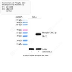 Recombinant...